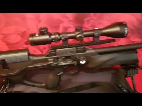 Walther Reign with Cheek Raiser and Mag Holder