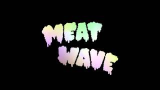 MEAT WAVE- PANOPTICON