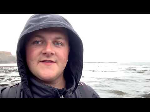 MY RAREST FOSSIL FIND - Stunning Fossil Fish Found While Fossil Hunting