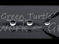 Network ~ Green Turtle
