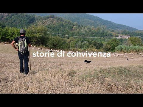 Storie di Convivenza - AMEDEO, pastore in Val Bormida