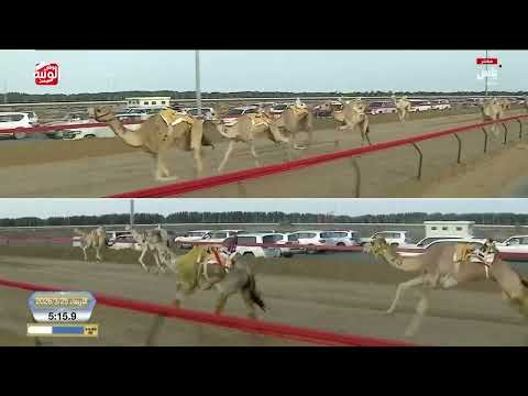 ش 6 بندقية (صيفيان) لـ محمد راشد عبيد المريزيق المري 8:56:75 ، ختامي المرموم 2026/03/25 إيذاع