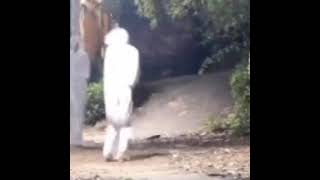 Download lagu viral pocong prank ketemu pocong beneran mp3