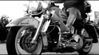 Voce Sabia Que Eu Era Rockn Roll