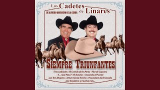 Traiciones Politicas