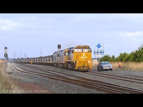 9158 Broad Gauge Pacific National Grain With XR552 G522 G528 (9/2/2023) - PoathTV Australian Trains