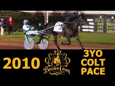 2010 Breeders Crown - Rock N Roll Heaven - 3YO Colt Pace