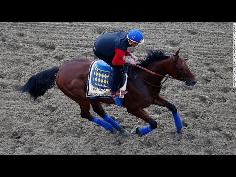 The most exciting two minutes in sports | The Kentucky Derby 2017 | Horse Racing