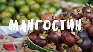 Тропический фрукт мангустин и как его есть! ✿ BaliBlogger