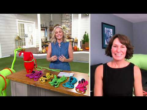 Geschirrleine 2-in-1 Geschirr & Leine mit Gummistoppern bei QVC