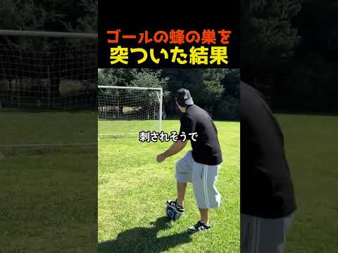 ゴールの蜂の巣を突ついた結果