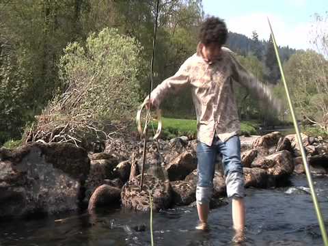 Jen Jeniro - Dolphin Pinc a Melyn