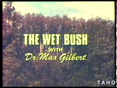 Cover image for Film - The Wet Bush (episode 2) from series - A Man And His Forest aka Tasmanian Forests - growth of Eucalypts conditions and speed - determining age of trees - features Dr Max Gilbert.