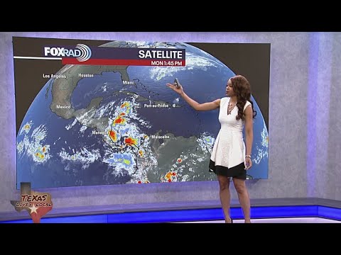 Tropical weather update - November 3, 2025