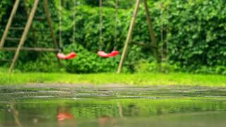 Relaxing Sound Escape   Light Rain
