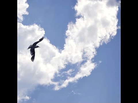 Fischermätteli Hood Gäng - Finde z Wort nid (prod. by Rysem)