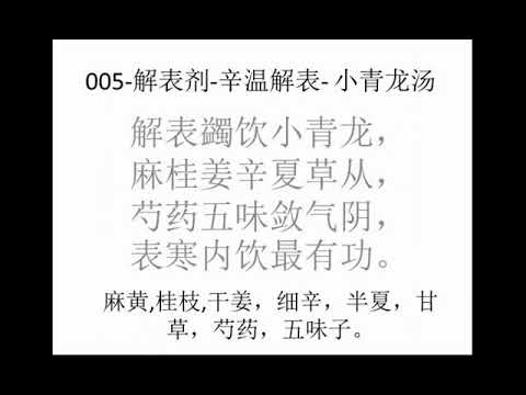 解表剂(9)方剂歌