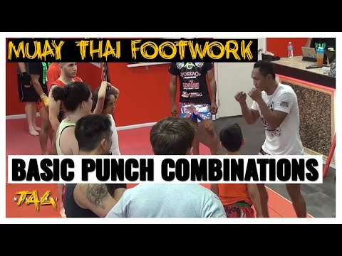 Saenchai at Rami Elite Basic Punch Combinations