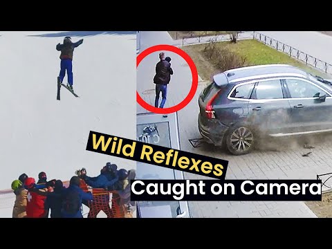 Wildest Reflexes Caught on Camera
