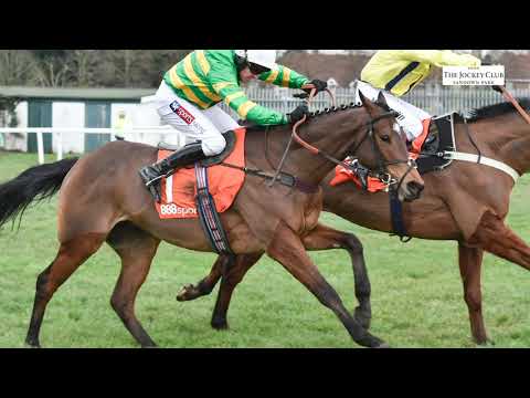 Defi Du Seuil set for Betfair Tingle Creek Chase at Sandown Park | Is he a good bet on Saturday?