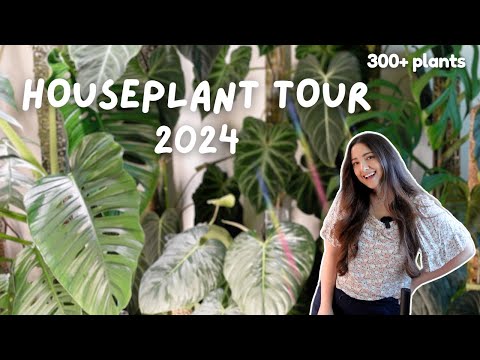 Houseplant Tour 2024! My Complete Collection 300+ plants 🪴