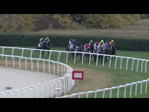 2018.10.21. 03. futam - NYERETLEN KÉTÉVESEK VERSENYE (IV.kat.)