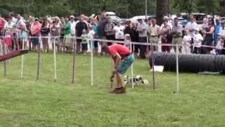 preview picture of video 'Yorkshire Terrier  & Biewer  Postojna 6. 7. 2014 predstavitev agility-ja'
