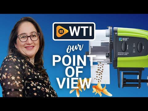 Automatic Fish Feeder - WTI product video review