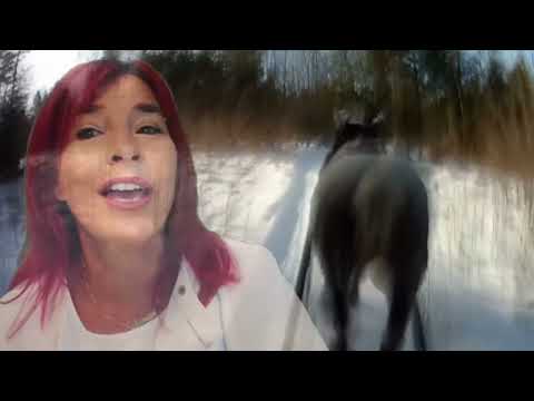 Dégénération interprétation Carolyne Jomphe 2