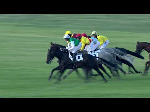 8. 8. 2020 - 8.dostih - Cena Dostihového klubu