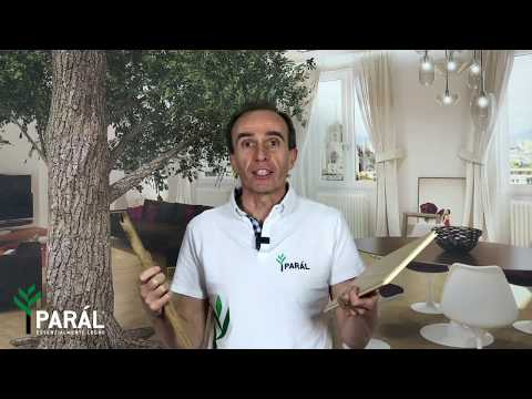 Legno Massello o Prefinito? | Parál Parquet