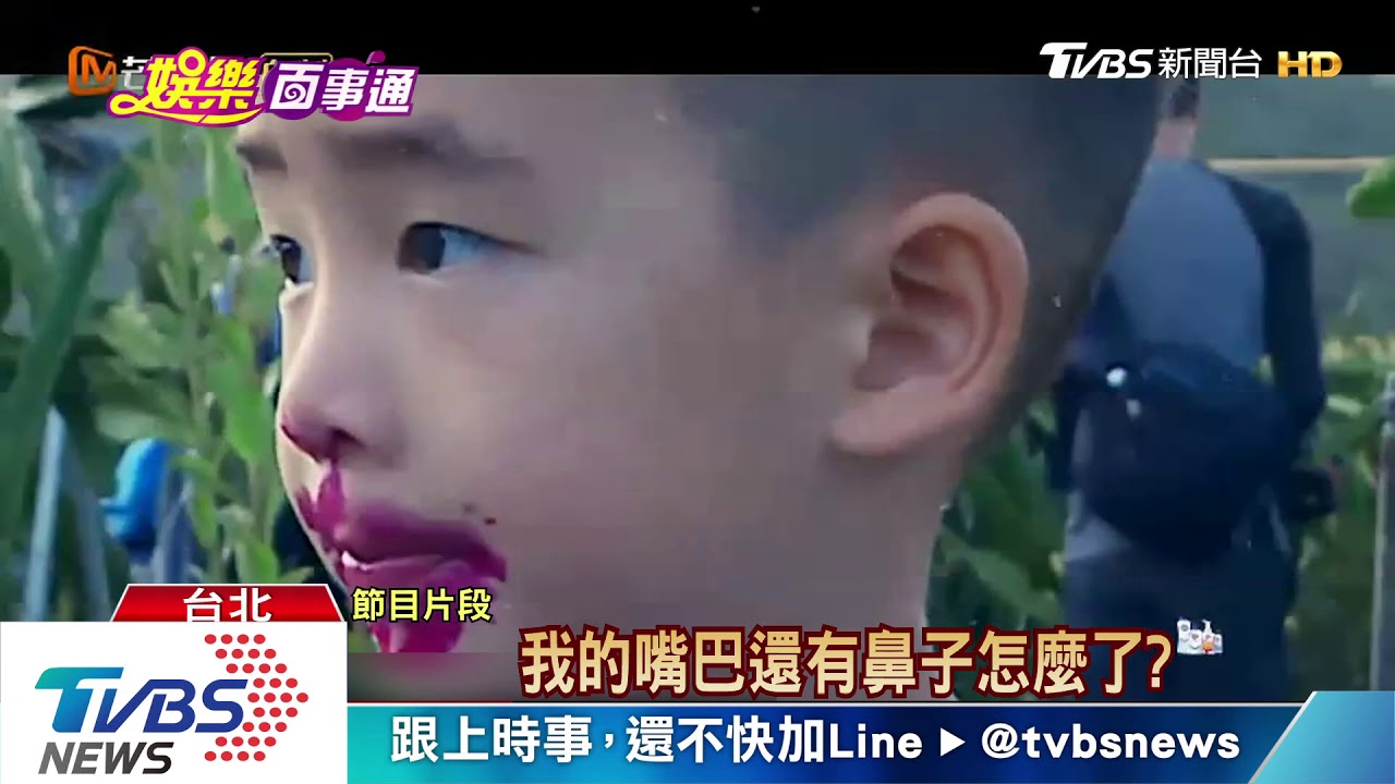 避港亂! 陳小春兒Jasper來台「降級讀幼兒園」