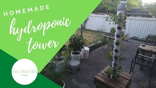 Thumbnail for video: How to build a homemade hydroponic tower