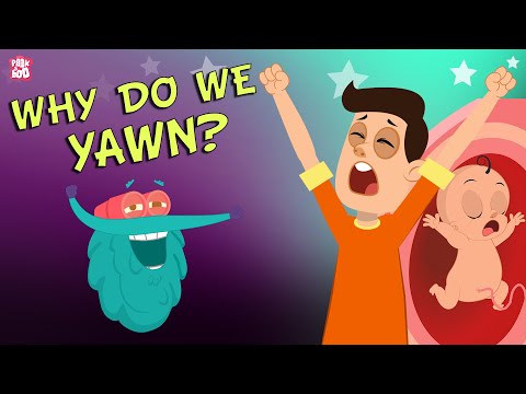 Why Do We Yawn? | The Dr. Binocs Show | Best Learning Videos For Kids | Peekaboo Kidz