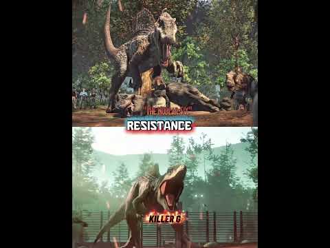 Asset 87 vs Zeb (Last Edit For 2025)