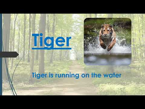 Animal presentation by Muntasir Ahiyan #powerpoint #animals