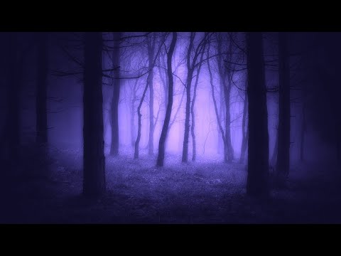 Relaxing Fantasy Music - Shadowleaf | Peaceful, Soothing, Beautiful ★193