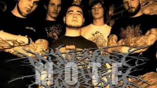 MUTILATION OF THE FLESH-CELEBRATE THE MASSACRE