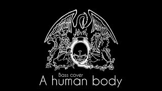 Queen - A Human Body °Bass Cover