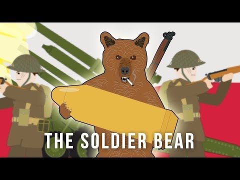 The Soldier Bear (Strange Stories of World War II)