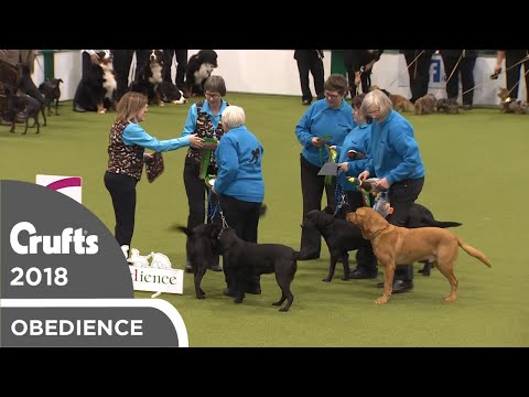 Obreedience - Award Parade | Crufts 2018