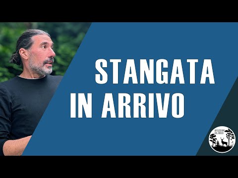 Consigli per far fronte ai nuovi rincari autunnali per le famiglie italiane