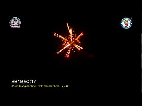 SB150BC17 - wizard display shell