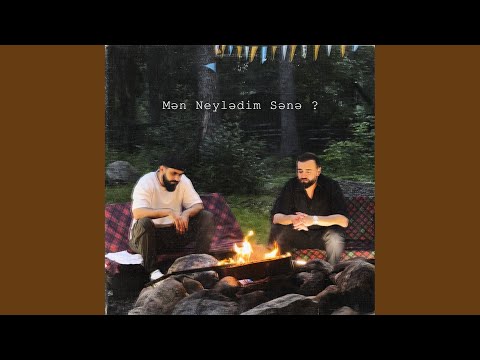 Mən neylədim sənə ?