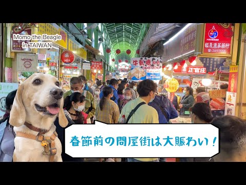 O maior distrito atacadista de Kaohsiung! Momo, uma beagle, veio à Sanfeng Middle Street para fazer compras para o Ano Novo Chinês. Embora não tenha conseguido provar a comida, ela aparentemente se divertiu.