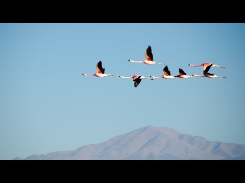 (FREE) Young Thug x Post Malone Type Beat - "2020 Vision" | Free Beat | Melodic Trap Instrumental