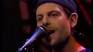 GIN BLOSSOMS - A DAY JOB