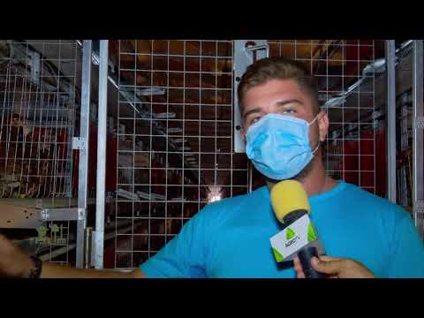 Portret de fermier cu Aurel Enache și Ionuț Drăgușin | 24.10.2020