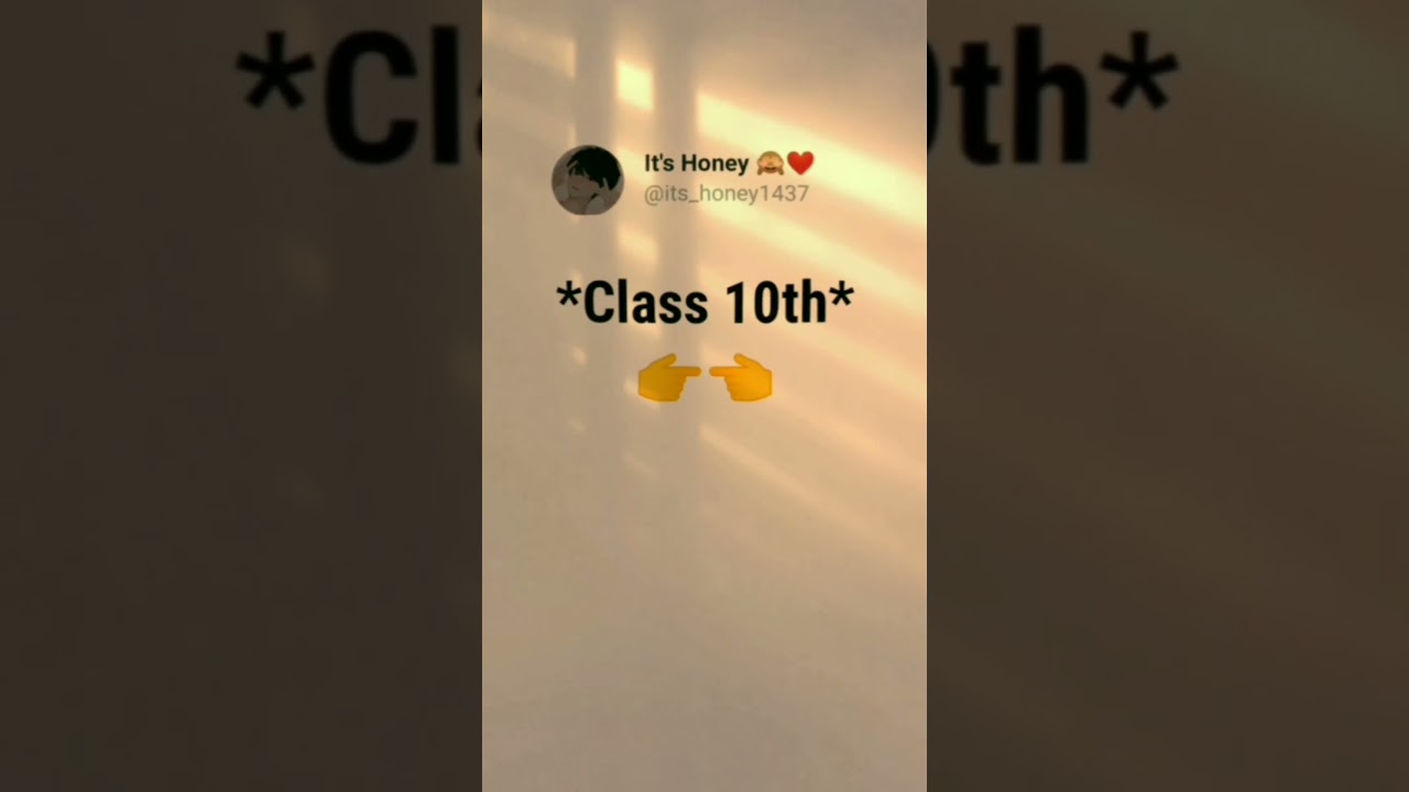 school friendship quotes | school memories status | school life story | #school #quotes #shorts