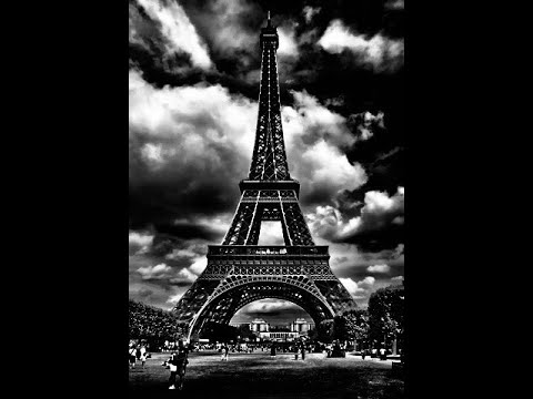 Arab Falcon Ba6ron || صقر العرب || بطرون